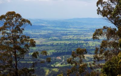 Bushfire Recovery Advocacy