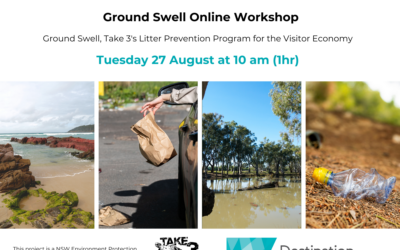  Ground Swell Online Workshop