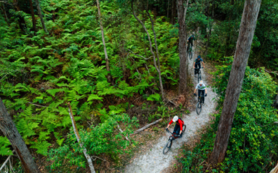 Southern NSW MTB Positioning