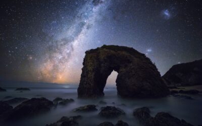 The Value of Tourism to Councils