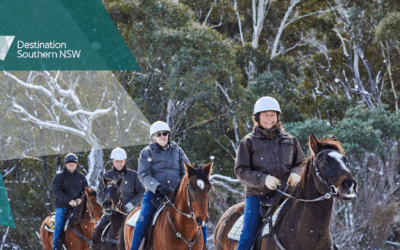 Grants, Training & Trailblazers