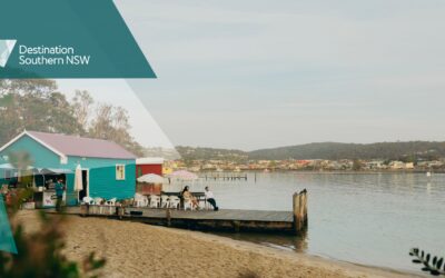 Southern Snapshot – March 2026