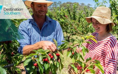 Free breaky wins bookings… and other valuable insights