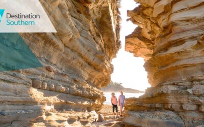 September Southern Snapshot: new experiences, award wins and seasonal support